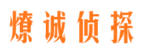 莱山市侦探调查公司